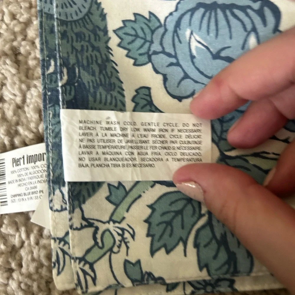 Pier 1 Chirping Blue Bird Placemat Set of 4